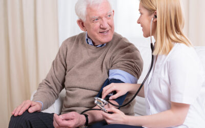 Navigating the Landscape of Senior Care with Ally Home Care